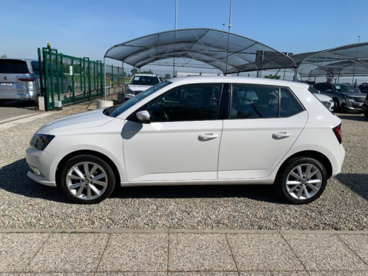 Skoda Fabia 1.4 TDI 90 CV Executive (8)