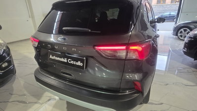 Ford Kuga 1.5 EcoBlue 120 CV 2WD Titanium (12)