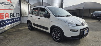 Fiat Panda 1.0 FireFly S&S Hybrid City Life (3)