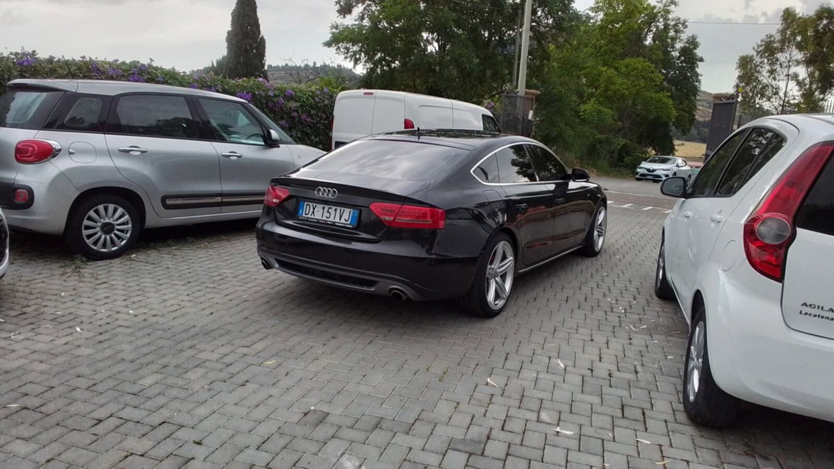 Audi A5 Coupé 3.0 V6 TDI F.AP. quattro (4)