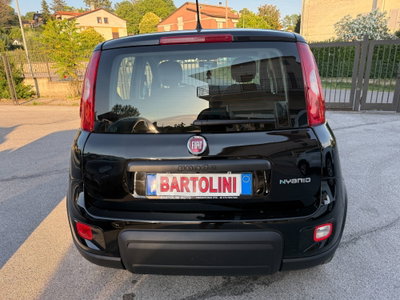 Fiat Panda Cross Cross 1.0 FireFly S&S Hybrid (6)