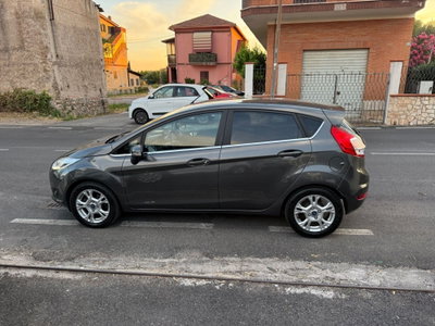 Ford Fiesta 1.5 TDCi 75CV 5 porte Black & White Edition (10)