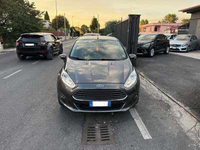 Ford Fiesta 1.5 TDCi 75CV 5 porte Black & White Edition (12)