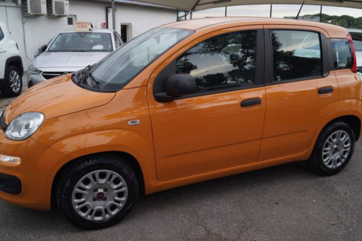 Fiat Panda 1.0 firefly hybrid s&s 70cv 5p.ti (2)