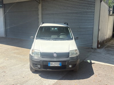 Fiat Panda 1.2 4x4 usata