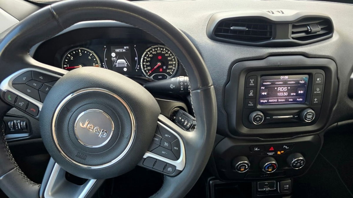 Jeep Renegade 1.6 Mjt 120 CV Longitude (10)