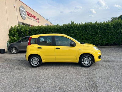 Fiat Panda 1.0 firefly hybrid s&s 70cv 5p.ti (4)
