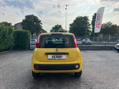 Fiat Panda 1.0 firefly hybrid s&s 70cv 5p.ti (6)