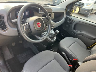 Fiat Panda 1.0 firefly hybrid s&s 70cv 5p.ti (9)