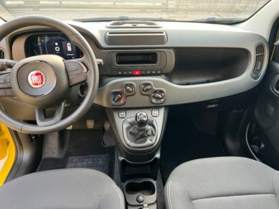Fiat Panda 1.0 firefly hybrid s&s 70cv 5p.ti (11)