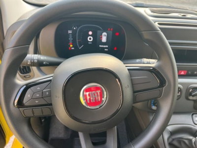 Fiat Panda 1.0 firefly hybrid s&s 70cv 5p.ti (12)