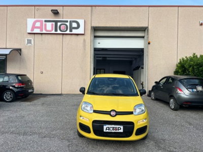 Fiat Panda 1.0 firefly hybrid s&s 70cv 5p.ti (2)