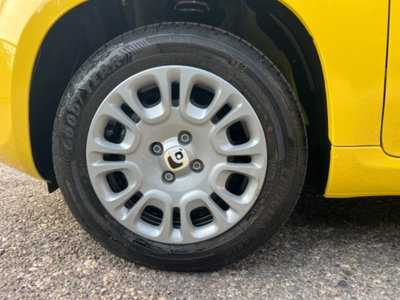 Fiat Panda 1.0 firefly hybrid s&s 70cv 5p.ti (8)
