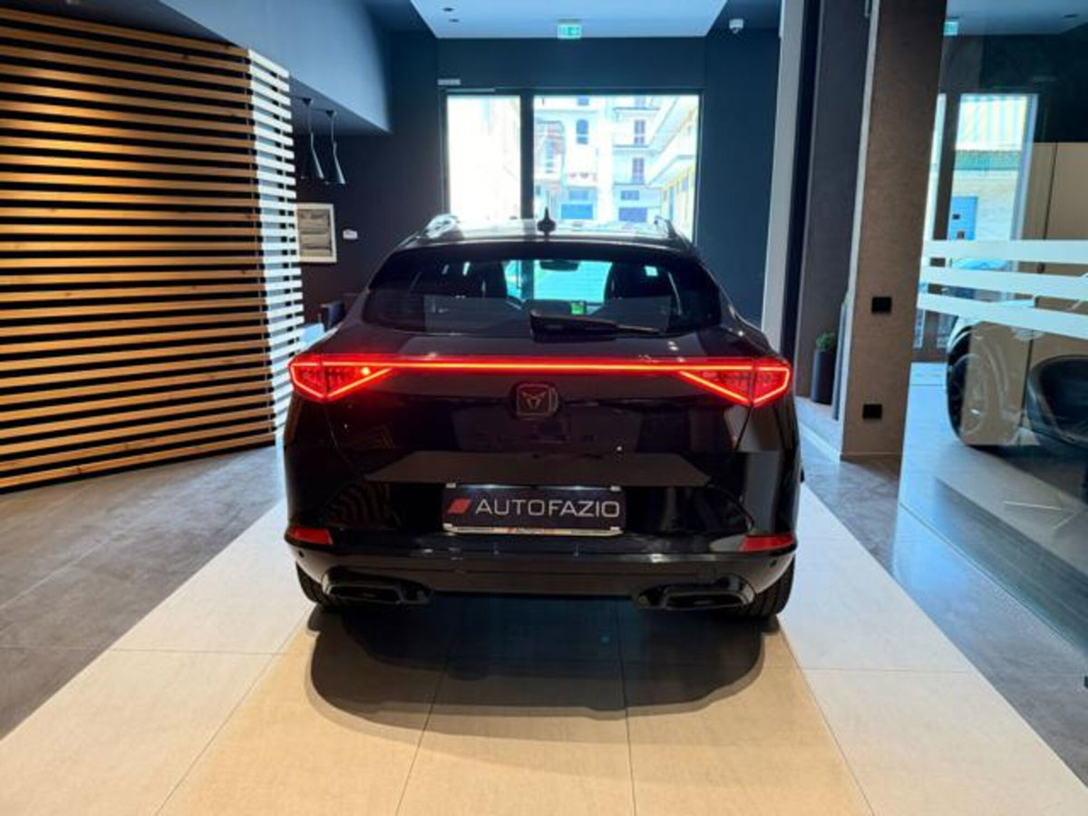 Cupra Formentor Formentor 2.0 tdi 4drive 150cv dsg (18)