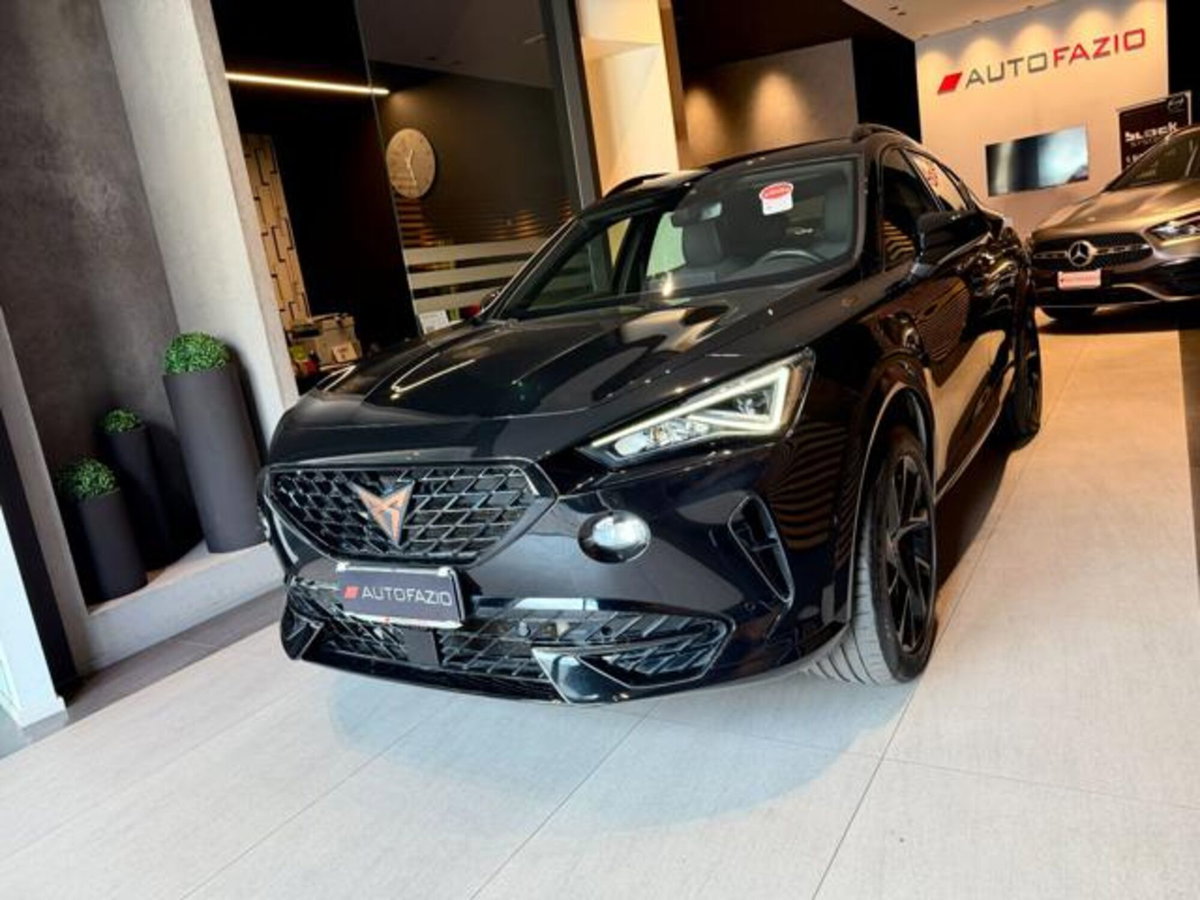 Cupra Formentor Formentor 2.0 tdi 4drive 150cv dsg (2)