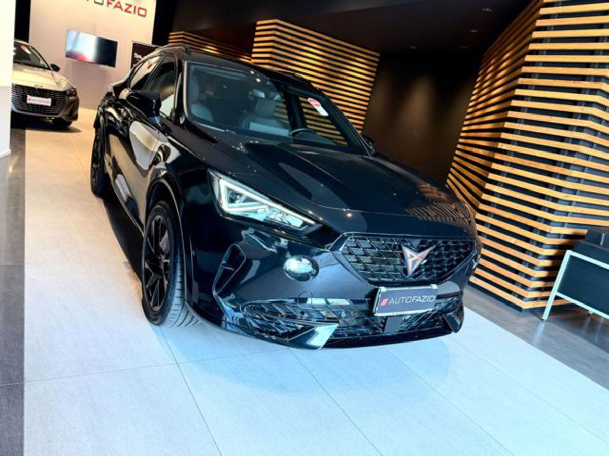 Cupra Formentor Formentor 2.0 tdi 4drive 150cv dsg (7)