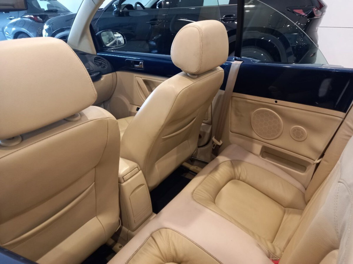 Volkswagen New Beetle Cabrio 16V (17)