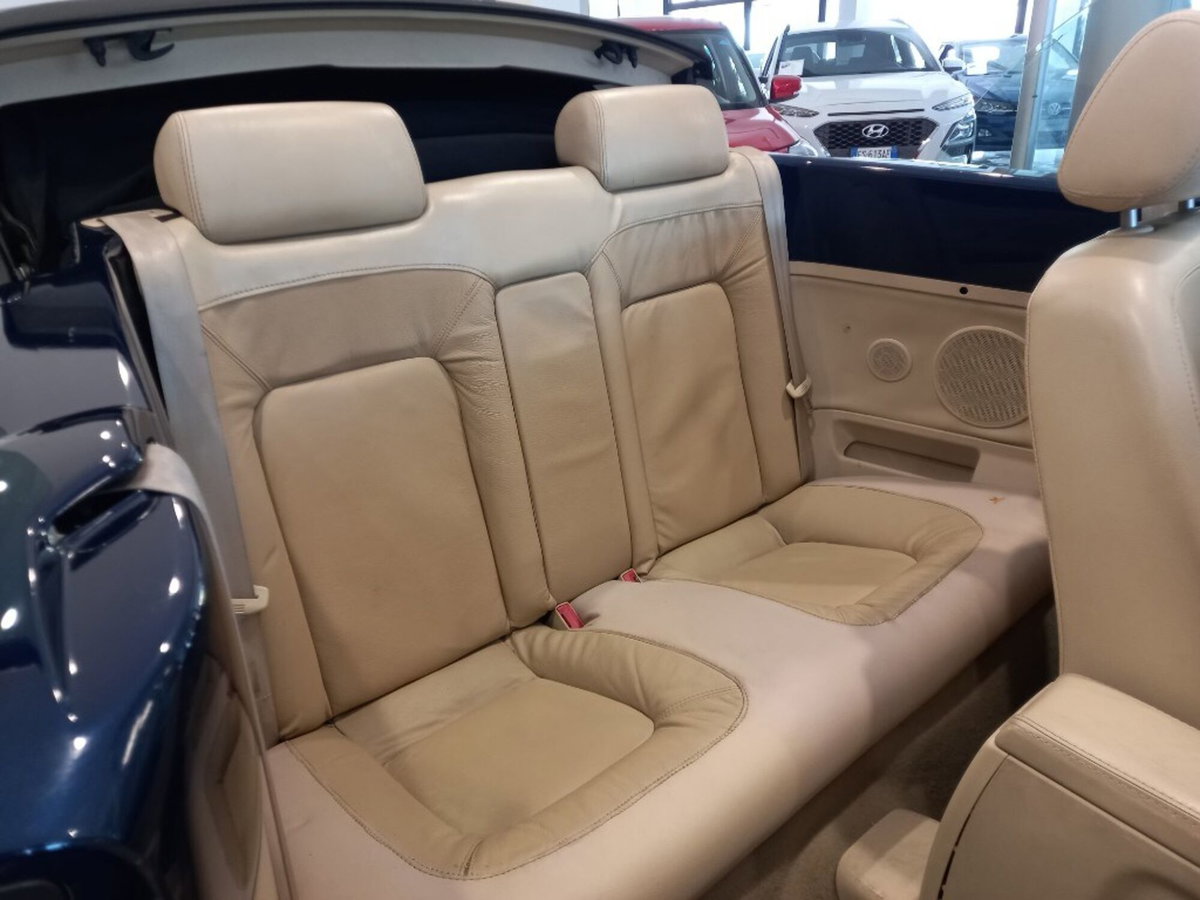 Volkswagen New Beetle Cabrio 16V (20)