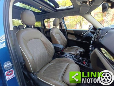 MINI Mini Countryman 2.0 Cooper D Countryman ALL4 (5)