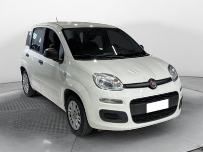 Fiat Panda 1.2 Easy usata