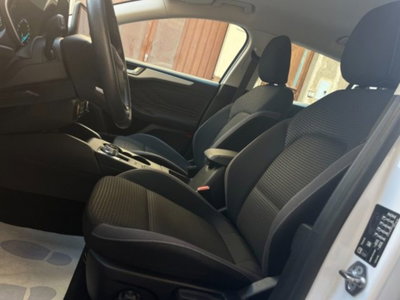 Ford Focus Station Wagon 1.5 EcoBlue 120 CV automatico SW Active Co-Pilot (13)