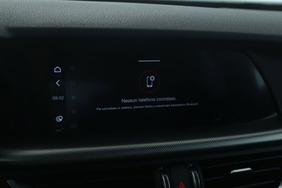 Alfa Romeo Stelvio Stelvio 2.2 Turbodiesel 210 CV AT8 Q4 Veloce (17)