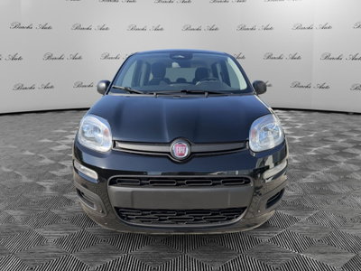 Fiat Pandina 1.0 firefly hybrid Icon s&s 65cv nuova