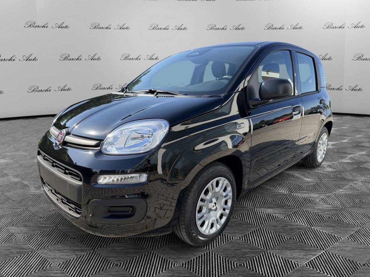 Fiat Pandina 1.0 firefly hybrid Icon s&s 65cv (2)