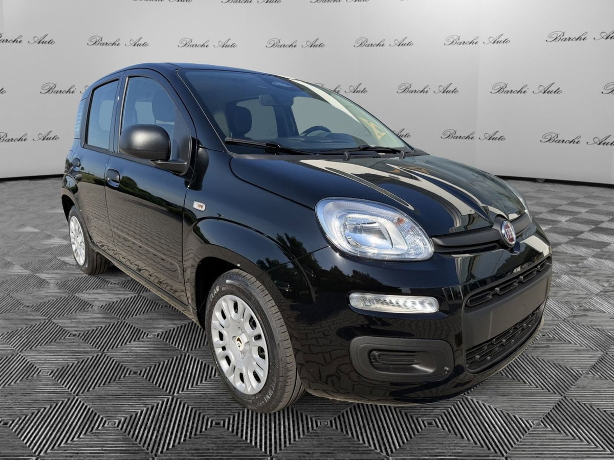 Fiat Pandina 1.0 firefly hybrid Icon s&s 65cv (3)