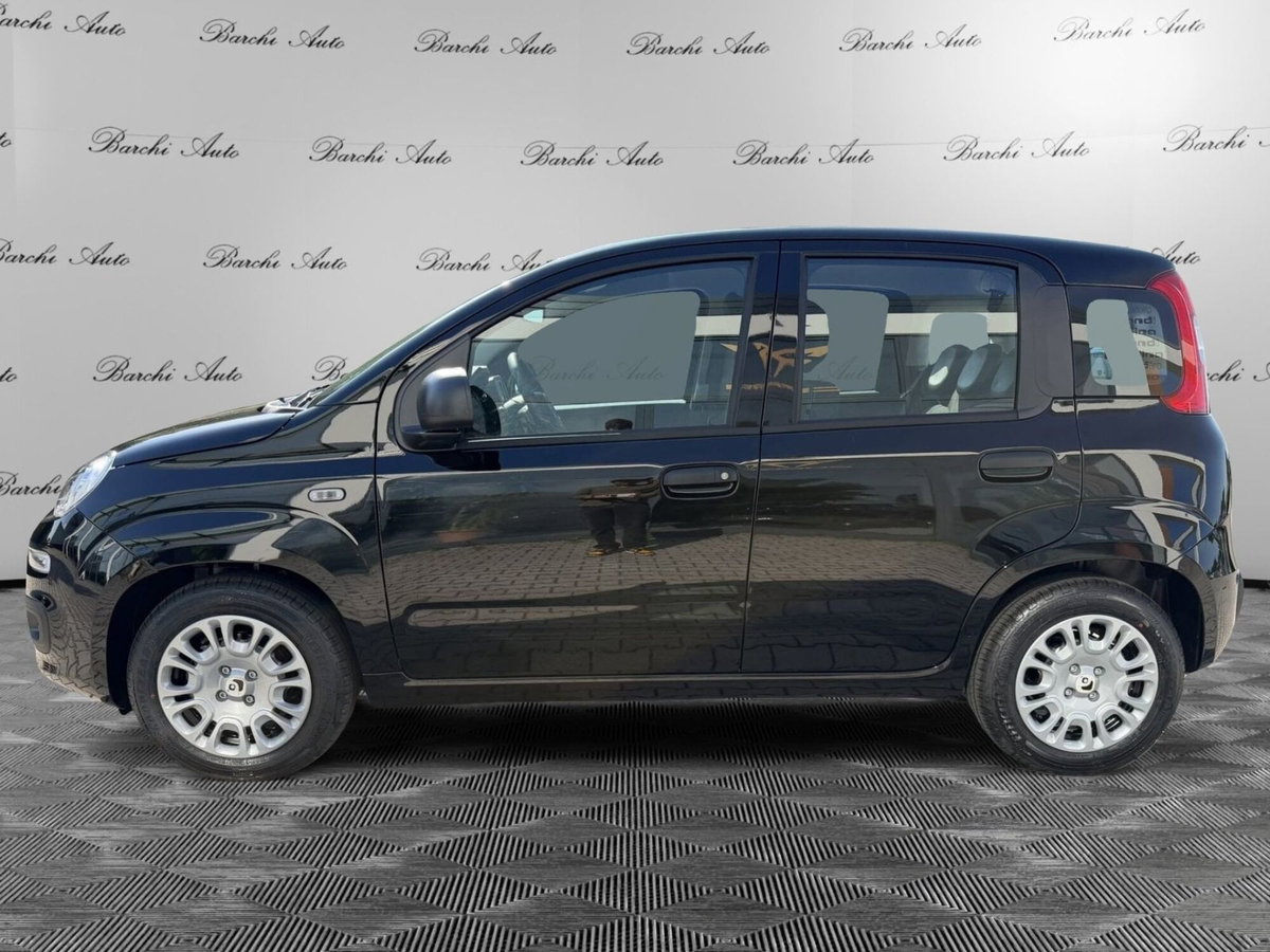 Fiat Pandina 1.0 firefly hybrid Icon s&s 65cv (8)