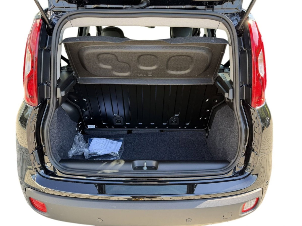 Fiat Pandina 1.0 firefly hybrid Icon s&s 65cv (9)