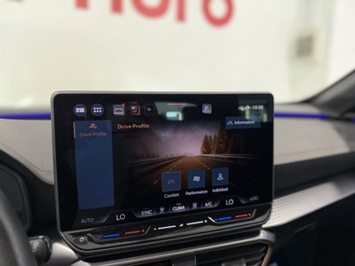 Cupra Formentor Formentor 2.0 TDI (12)