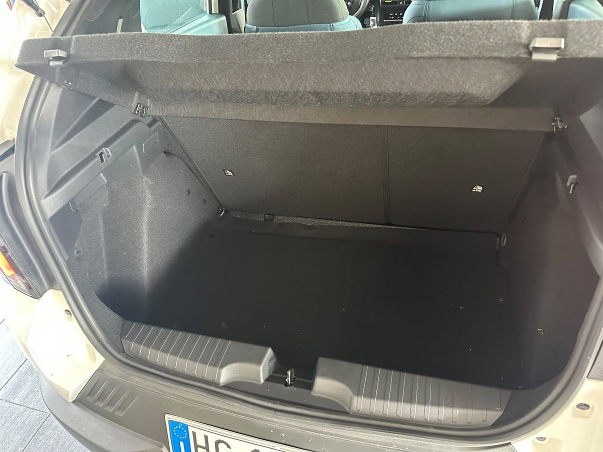 Fiat Grande Panda 1.2 hybrid Icon 110cv edct (15)