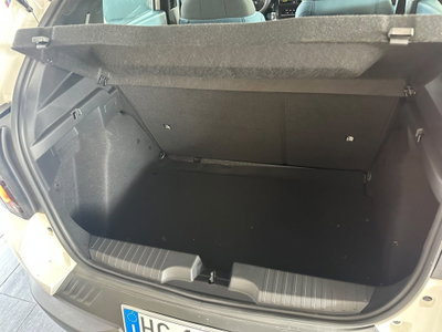 Fiat Grande Panda 1.2 hybrid Icon 110cv edct (15)