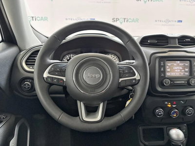 Jeep Renegade 1.0 T3 Longitude (13)