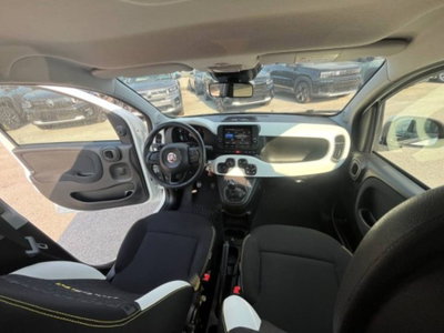 Fiat Panda Cross 1.0 firefly hybrid Cross s&s 70cv 5p.ti (14)