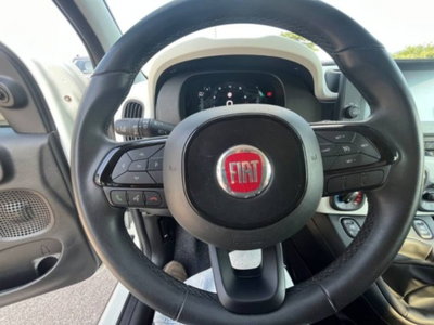 Fiat Panda Cross 1.0 firefly hybrid Cross s&s 70cv 5p.ti (17)