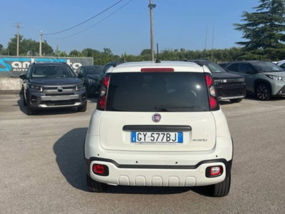 Fiat Panda Cross 1.0 firefly hybrid Cross s&s 70cv 5p.ti (4)