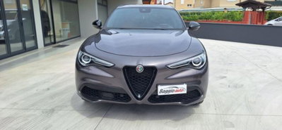 Alfa Romeo Stelvio Stelvio 2.0 Turbo 280 CV AT8 Q4 Veloce Tì (4)