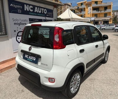 Fiat Panda van 1.0 hybrid Street 70cv 4p.ti serie 4 E6d (3)