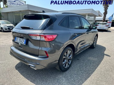 Ford Kuga 1.5 EcoBlue 120 CV 2WD ST-Line (5)