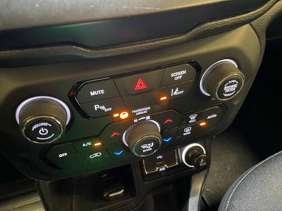Jeep Renegade 1.3 T4 DDCT Business (9)