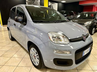 Fiat Panda 1.0 firefly hybrid s&s 70cv 5p.ti usata