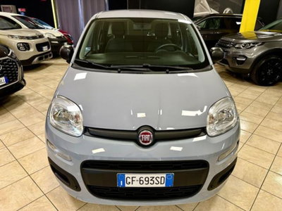 Fiat Panda 1.0 firefly hybrid s&s 70cv 5p.ti (2)