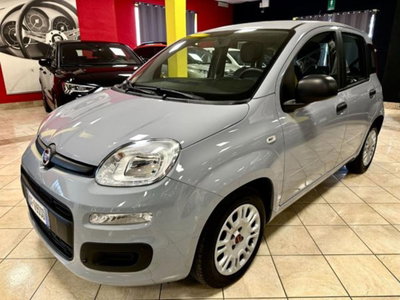 Fiat Panda 1.0 firefly hybrid s&s 70cv 5p.ti (3)