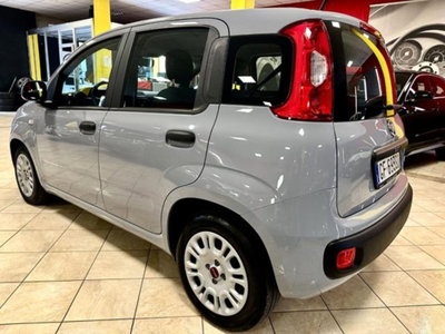 Fiat Panda 1.0 firefly hybrid s&s 70cv 5p.ti (4)
