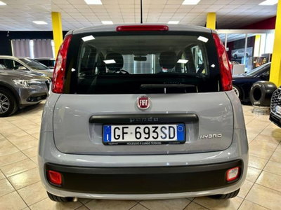 Fiat Panda 1.0 firefly hybrid s&s 70cv 5p.ti (5)