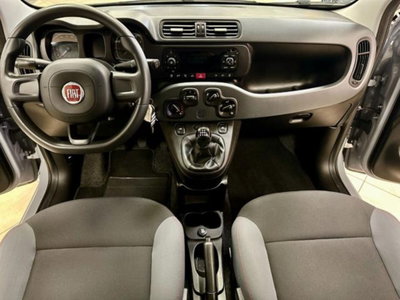 Fiat Panda 1.0 firefly hybrid s&s 70cv 5p.ti (7)