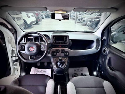 Fiat Panda 1.0 FireFly S&S Hybrid City Life (10)