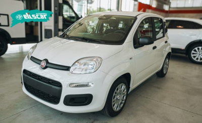 Fiat Pandina 1.0 firefly hybrid Icon s&s 65cv (2)